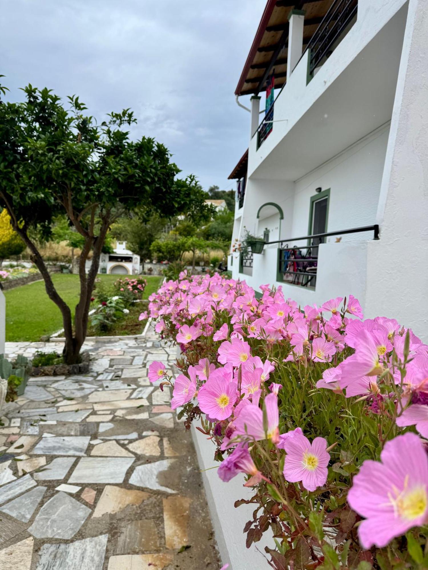 Irene Studios Arillas  Exterior photo